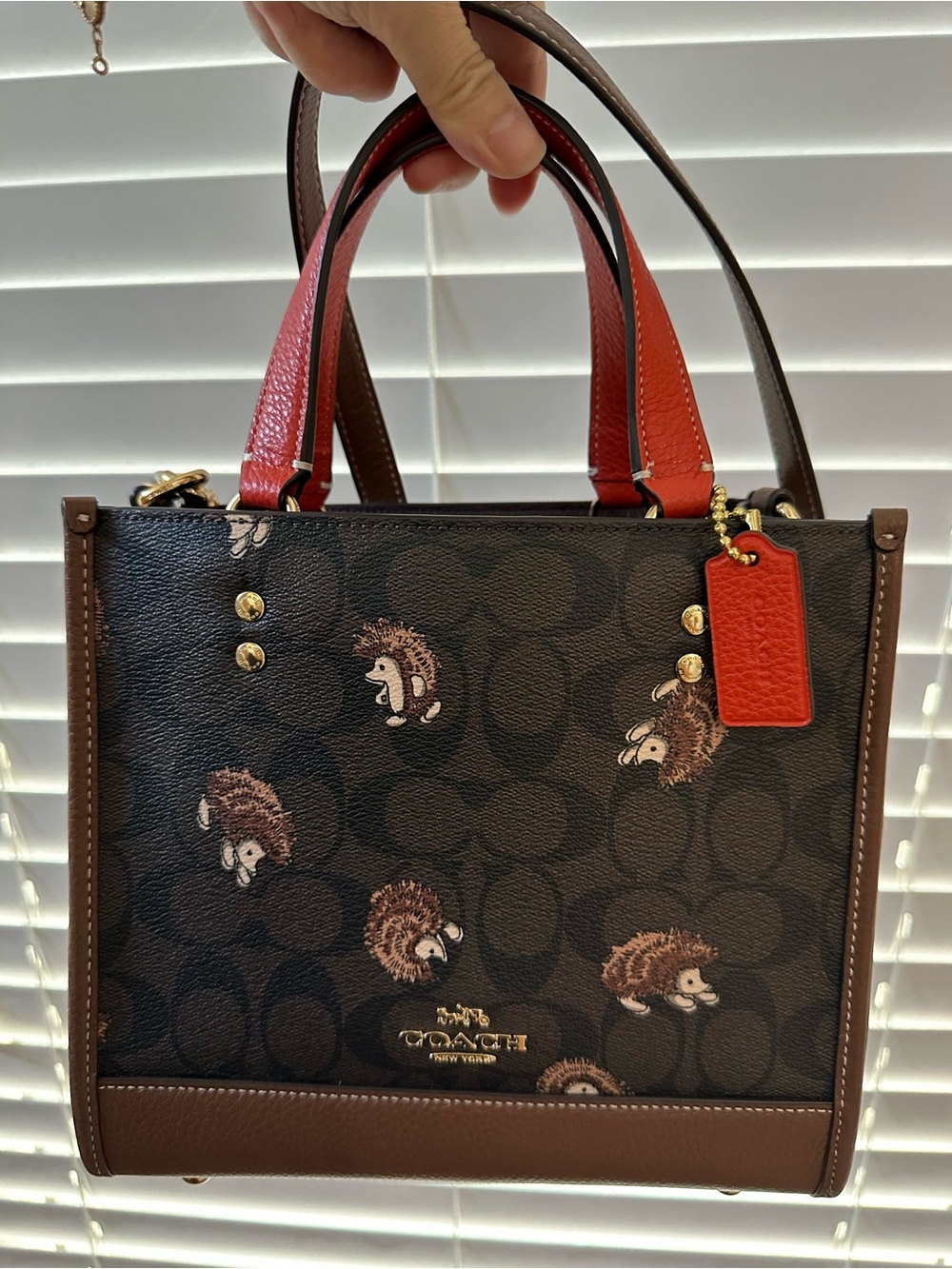 Coach Dempsey 22 signature Hedgehog Print Tote in Brown with Red Handles